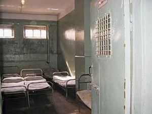 Витверезники повертають в Україну Витверезники повертають в Україну