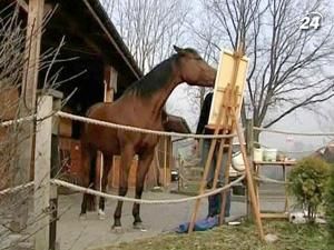 Польська кобила у вільний час малює картини Польська кобила у вільний час малює картини