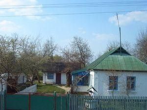 У Житомирській області продають будинку разом із мешканцями У Житомирській області продають будинку разом із мешканцями