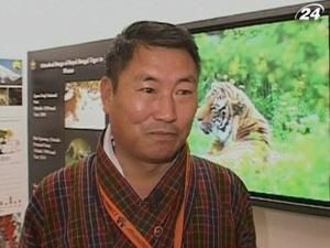 WWF має намір мобілізувати $85 млн. на порятунок тигрів WWF має намір мобілізувати $85 млн. на порятунок тигрів