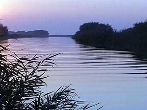 На Дунаї виявили плівку з невідомих нафтопродуктів На Дунаї виявили плівку з невідомих нафтопродуктів