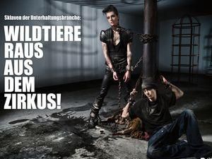 Фронтмен Tokio Hotel закувався у кайдани заради порятунку циркових тварин Фронтмен Tokio Hotel закувався у кайдани заради порятунку циркових тварин