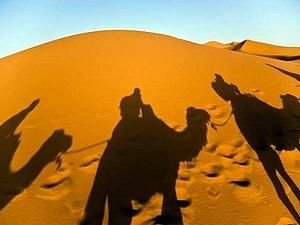 Україна шукатиме нафту в Західній Сахарі Україна шукатиме нафту в Західній Сахарі