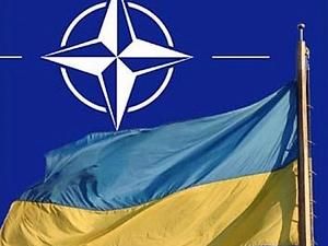 НАТО вирішить участь України в ПРО після визначення ролі Росії НАТО вирішить участь України в ПРО після визначення ролі Росії