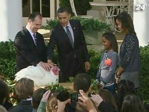 З нагоди Дня подяки Обама помилував двох індичок З нагоди Дня подяки Обама помилував двох індичок