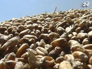 Зернові квоти не продаватимуть на аукціонах Зернові квоти не продаватимуть на аукціонах