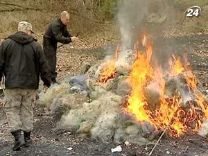 За місяць на Київщині вилучено 500 знарядь рибалок-браконьєрів