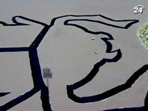 Єгипетські студенти в пустелі створили гігантського скарабея Єгипетські студенти в пустелі створили гігантського скарабея