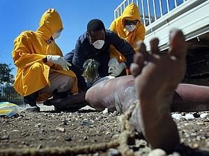 ВООЗ: до 400 тисяч людей можуть захворіти холерою в Гаїті ВООЗ: до 400 тисяч людей можуть захворіти холерою в Гаїті