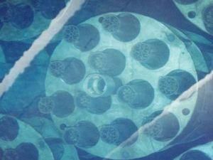 Перший у світі гарантійний запас ядерного палива створили в Росії Перший у світі гарантійний запас ядерного палива створили в Росії