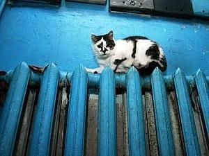 Попов: Проблем з теплом у киян більше не буде Попов: Проблем з теплом у киян більше не буде