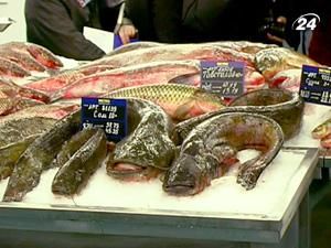 Україна може заборонити імпорт риби з В'єтнаму