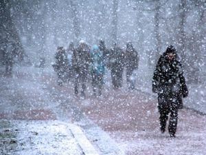 У Львові за ніч випало 32% місячної норми снігу У Львові за ніч випало 32% місячної норми снігу