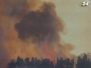 Північ Ізраїлю потерпає від лісових пожеж, 40 осіб загинули Північ Ізраїлю потерпає від лісових пожеж, 40 осіб загинули