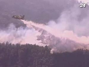 Ізраїль бореться з масштабною пожежею Ізраїль бореться з масштабною пожежею