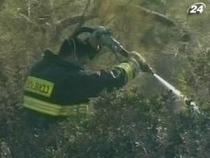 На півночі Ізраїлю на вщухає масштабна лісова пожежа На півночі Ізраїлю на вщухає масштабна лісова пожежа