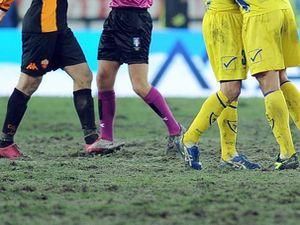 Раньєрі звинуватив газон Раньєрі звинуватив газон