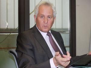 Депутат Стоян: некваліфікована робота дуже корисна Депутат Стоян: некваліфікована робота дуже корисна