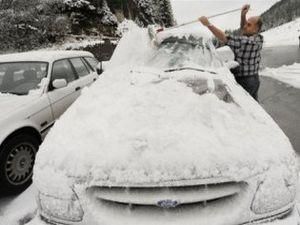 Проїзд у польському громадському транспорті зробили безкоштовним Проїзд у польському громадському транспорті зробили безкоштовним