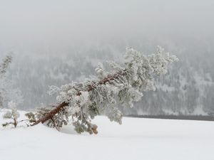 Троє людей замерзли на Львівщині