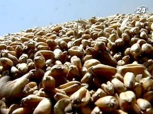 Мінекономіки хоче збільшити експортну зернову квоту Мінекономіки хоче збільшити експортну зернову квоту