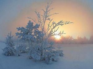 В Україну прийшли морози В Україну прийшли морози