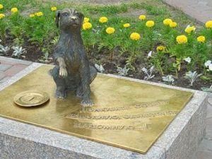 У Тюмені пам'ятник-скарбничка зібрав більше 250 тис. руб. для бездомних тварин