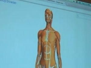 Google запустили анатомічну карту