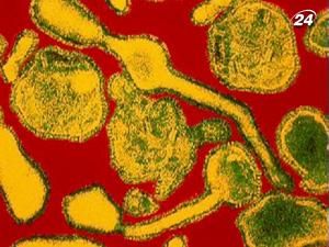 Вірусні інфекції призводять до виникнення епідемій