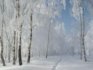 На завтра обіцяють морози