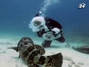 Санта-Клаус проводить екскурсії під водою Санта-Клаус проводить екскурсії під водою