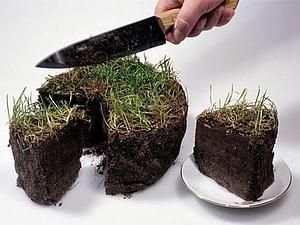 У парламенті мають намір спростити отримання держакту на землю У парламенті мають намір спростити отримання держакту на землю