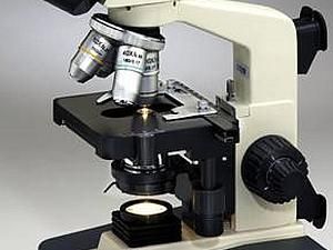 Януковича намалювали на рисовому зернятку Януковича намалювали на рисовому зернятку