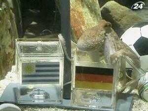 Восьминіг-оракул Пауль визнаний найбільш незвичайною твариною року Восьминіг-оракул Пауль визнаний найбільш незвичайною твариною року