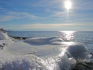На дні Байкалу дайвери поставили новорічну виставу На дні Байкалу дайвери поставили новорічну виставу