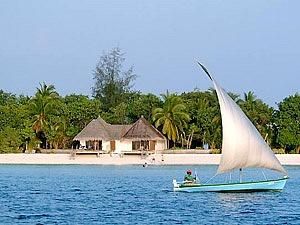 У Єгипті зняли заборону на дайвінг У Єгипті зняли заборону на дайвінг