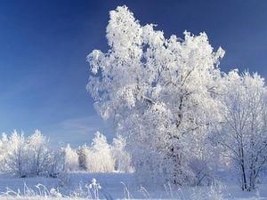 В Росії "стукнув" 60-градусний мороз В Росії "стукнув" 60-градусний мороз