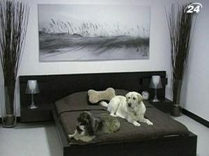 Великою популярністю користуються готелі для тварин Великою популярністю користуються готелі для тварин