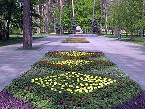 За майданчик для вертольота Янукович платитиме 2 мільйона на рік За майданчик для вертольота Янукович платитиме 2 мільйона на рік