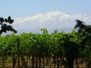 В Аргентині люди потерпають від аномальної спеки В Аргентині люди потерпають від аномальної спеки
