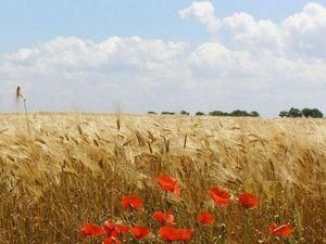 Астрологи назвали 2011 рік непростим для України Астрологи назвали 2011 рік непростим для України