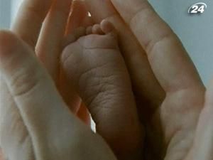 "Дерево життя" одна із найочікуваніших картин наступного року "Дерево життя" одна із найочікуваніших картин наступного року