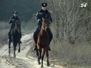 У передноворічні дні лісосмуги охороняють правоохоронці на конях У передноворічні дні лісосмуги охороняють правоохоронці на конях