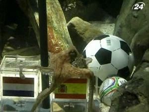 Підсумок року: провидець року, коштовність року, виграш року Підсумок року: провидець року, коштовність року, виграш року