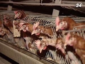 В АПК очікують буму зовнішніх запозичень В АПК очікують буму зовнішніх запозичень