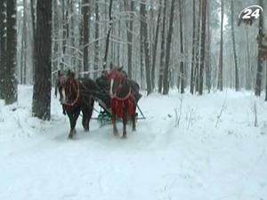 Туристам на Волині пропонують поринути у атмосферу зимового лісу 