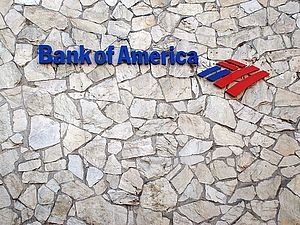 Bank of America готується до публікацій на WikiLeaks