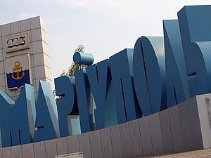 Маріуполь: жінка-міліціонер випала з вікна Маріуполь: жінка-міліціонер випала з вікна