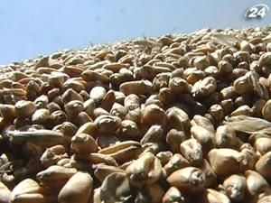 Прийом заявок на отримання дозволу на експорт зерна триває Прийом заявок на отримання дозволу на експорт зерна триває