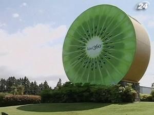 У Новій Зеландії з решток ківі виробляють біопластик У Новій Зеландії з решток ківі виробляють біопластик